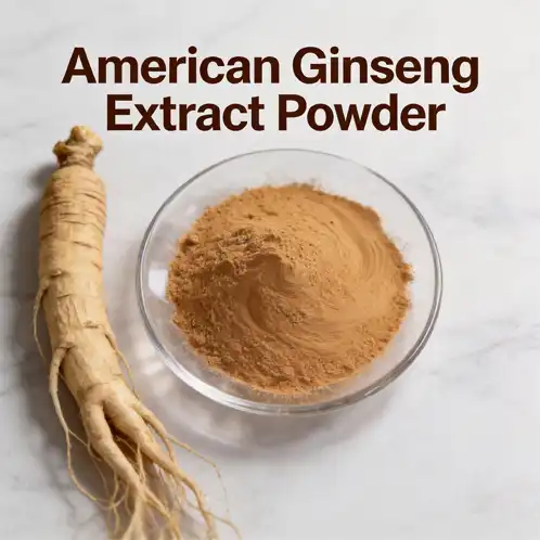 How to Choose High-Quality American Ginseng Extract Powder?